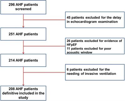 Non-invasive assessment of acute heart failure by Stevenson classification: Does echocardiographic examination recognize different phenotypes?